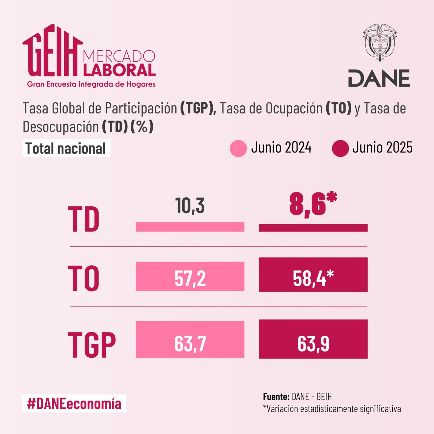 Gran Encuesta Integrada de Hogares - Junio 2025