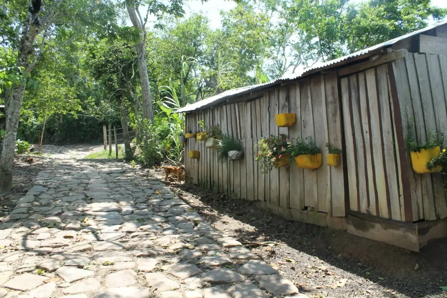 Tramo del camino real Villeta – Guaduas, con sendero empedrado rodeado de árboles y una casa de madera decorada con materas de colores