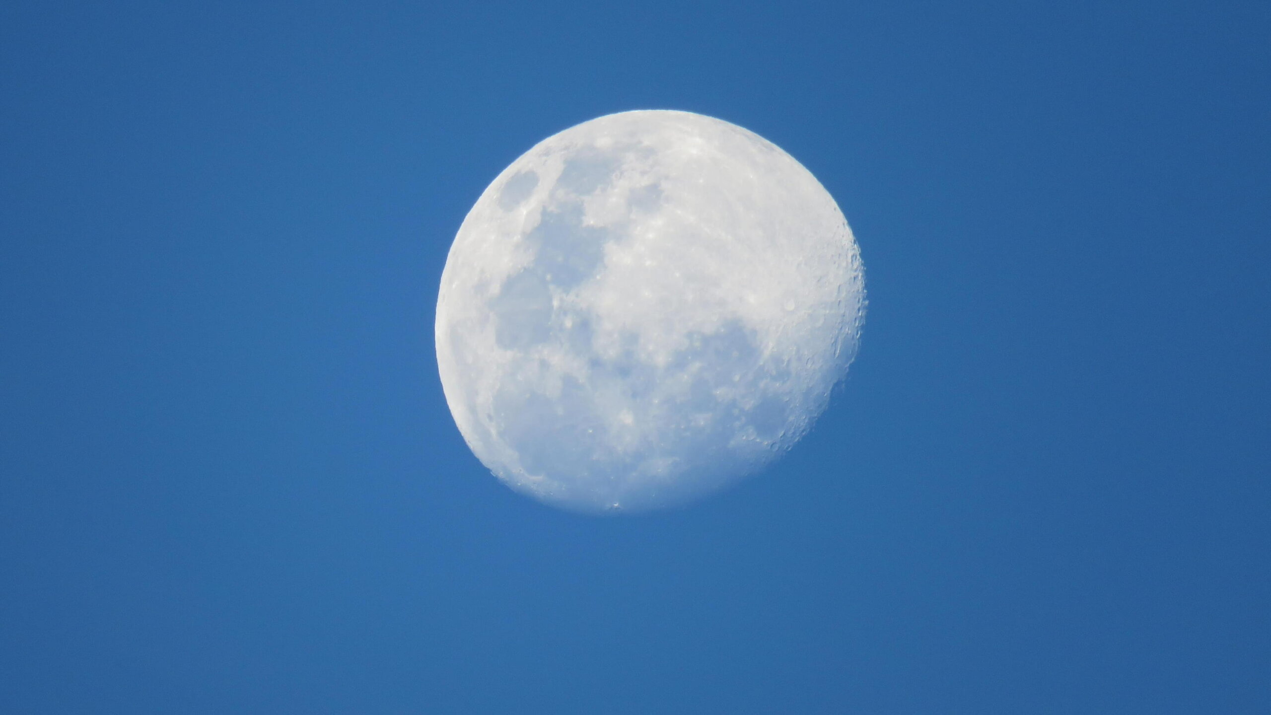 Fotografía de la Super luna de octubre vista en el cielo azul durante el día, mostrando con detalle los cráteres y la superficie iluminada del satélite natural de la Tierra