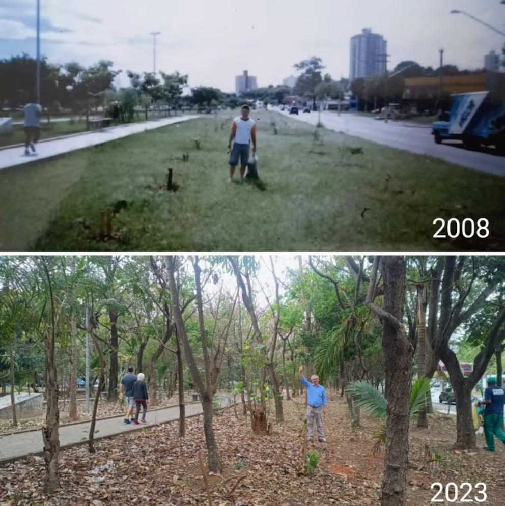 Comparación del Parque Lineal de Tiquatira en São Paulo: Hélio da Silva en 2008, cuando comenzaba a plantar, y en 2023, rodeado del bosque que creó con su esfuerzo. La imagen ilustra el crecimiento de Hélio da Silva y su parque lineal a lo largo de 15 años